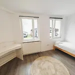 House With Big Courtyard, 4 Parking Spots Boekarest