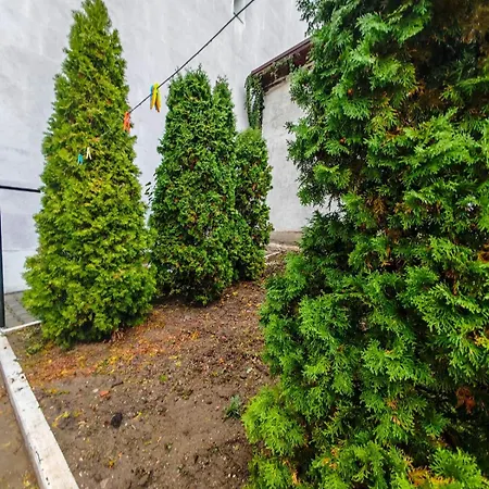 House With Big Courtyard, 4 Parking Spots *