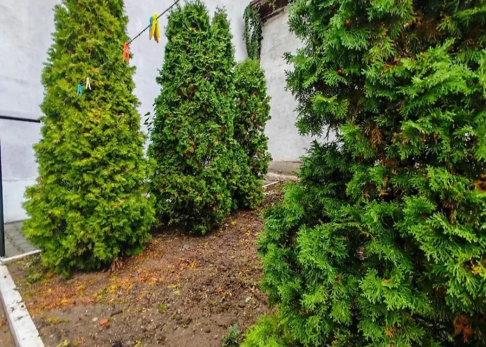 House With Big Courtyard, 4 Parking Spots *