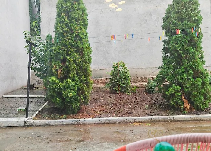 House With Big Courtyard, 4 Parking Spots Βουκουρέστι